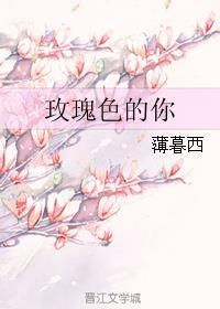 ӵ۹֮