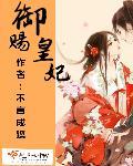 总裁的盗爱情人txt下载